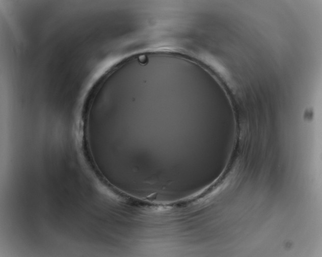 X0000103221414200808281356