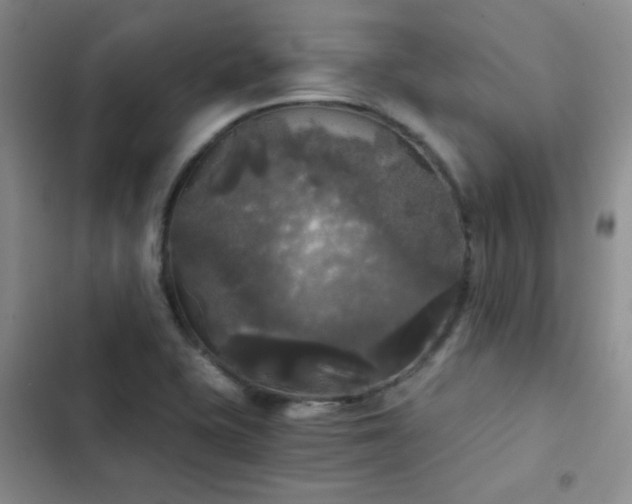 X0000103221415200808281356