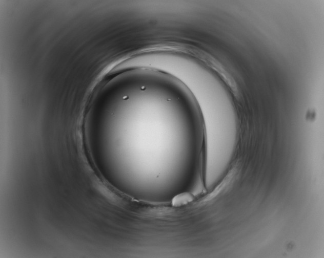 X0000103221417200808281356