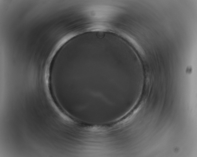 X0000103221418200808281356