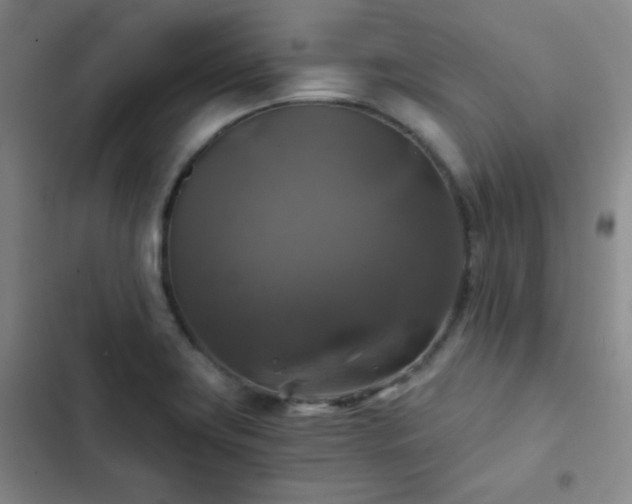 X0000103221419200808281356