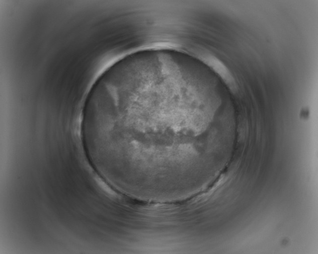 X0000103221420200808281356