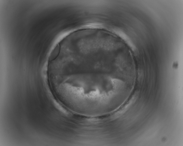 X0000103221421200808281356
