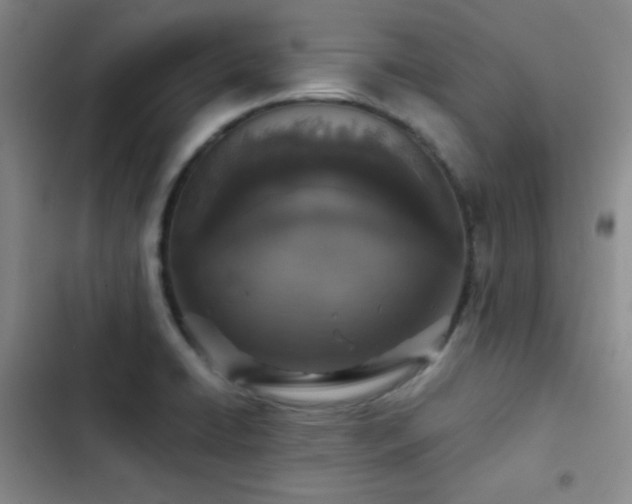 X0000103221422200808281356