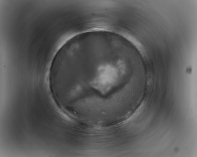 X0000103221423200808281356