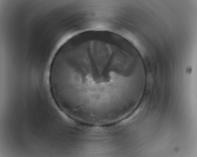 X0000103221424200808281356