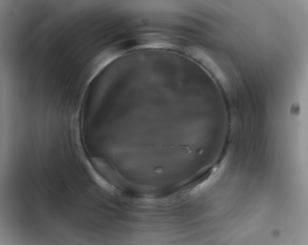 X0000103221425200808281356