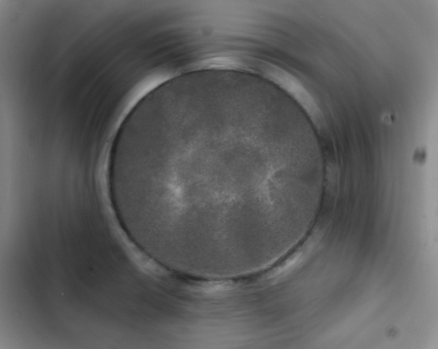X0000103221426200808281356