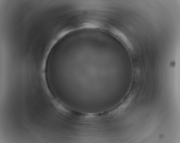 X0000103221427200808281356