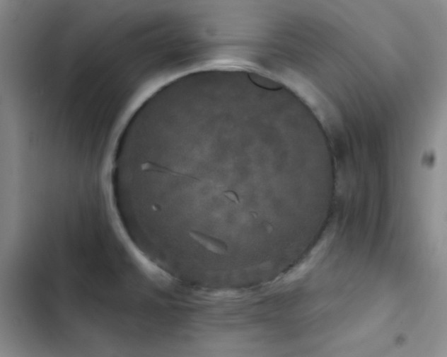 X0000103221430200808281357
