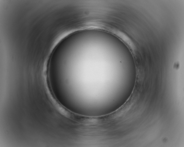 X0000103221431200808281357