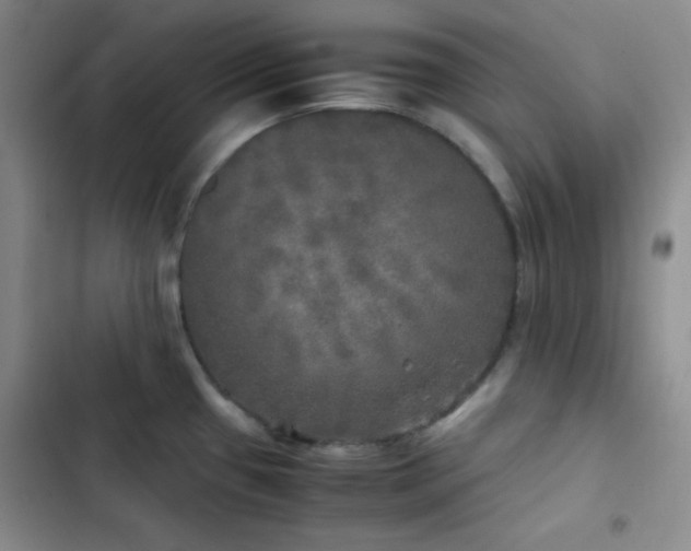 X0000103221433200808281357