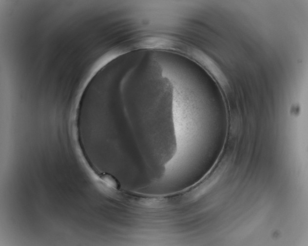 X0000103221434200808281357