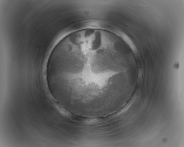 X0000103221435200808281357