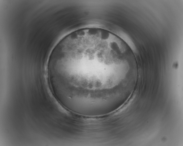 X0000103221436200808281357