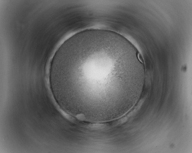 X0000103221437200808281357