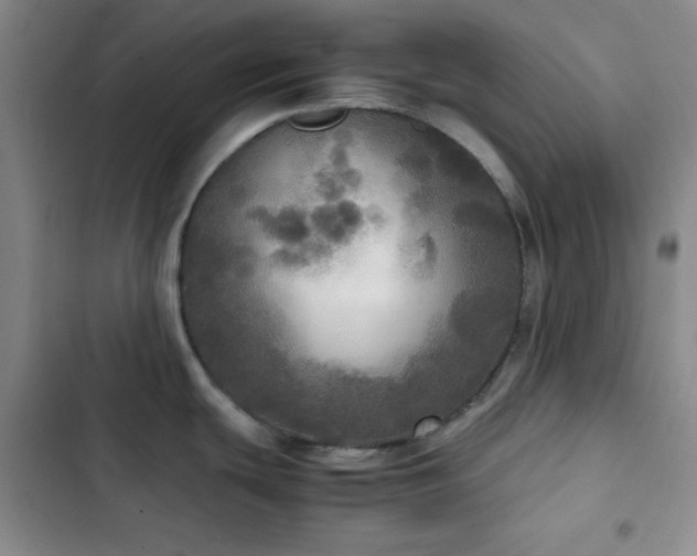 X0000103221439200808281357