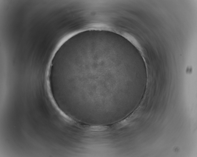 X0000103221440200808281357