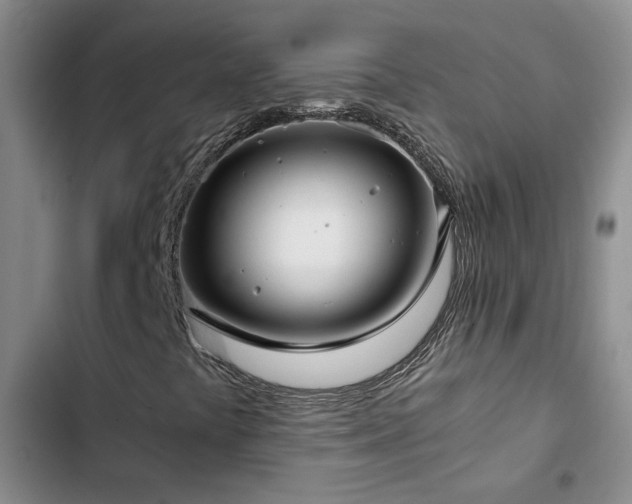 X0000103221441200808281356