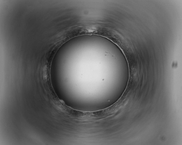 X0000103221442200808281356