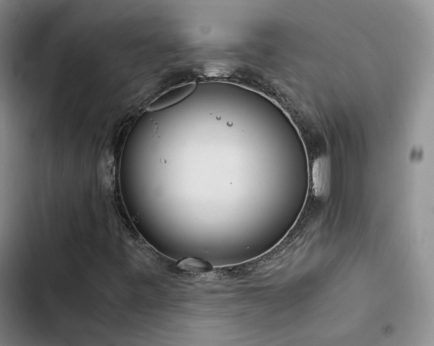 X0000103221443200808281356