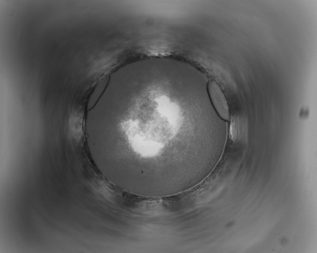 X0000103221444200808281356