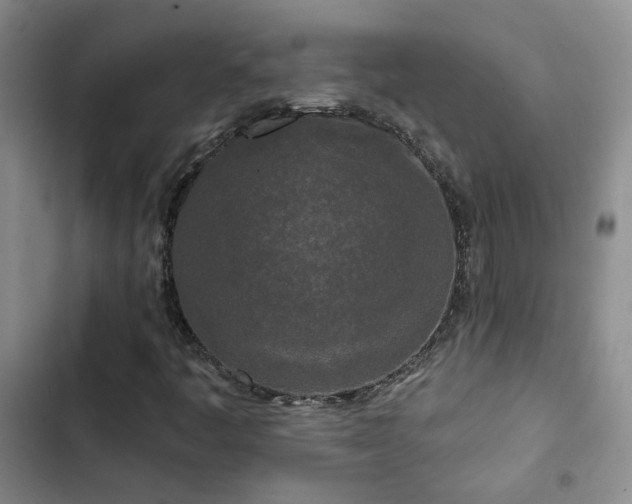 X0000103221445200808281356
