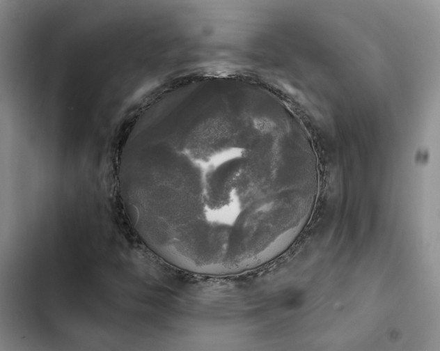X0000103221446200808281356