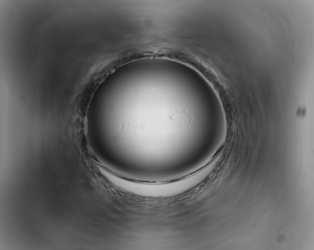 X0000103221447200808281356