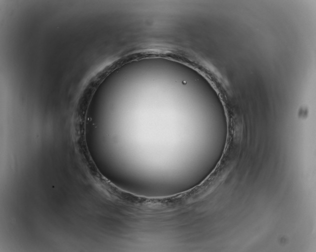 X0000103221448200808281356