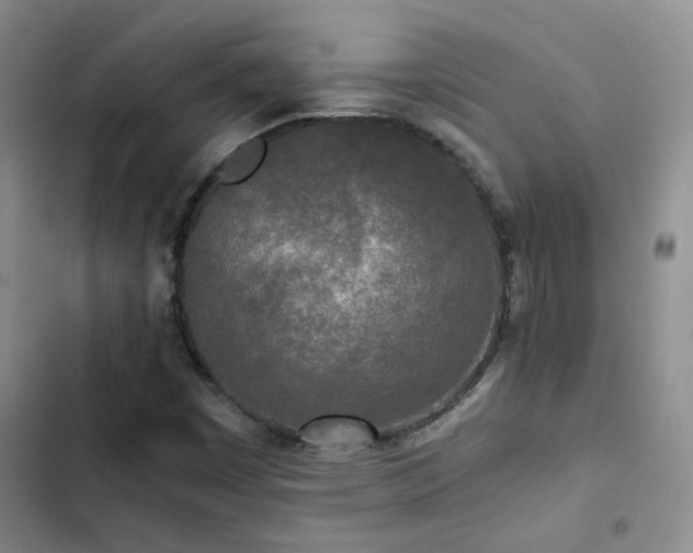 X0000103221449200808281356