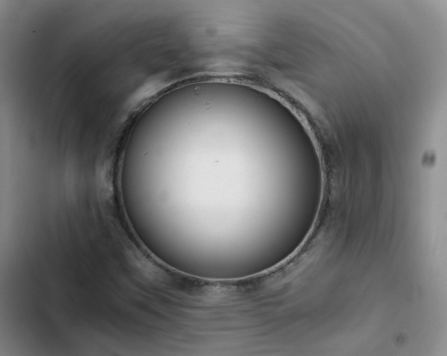 X0000103221451200808281356
