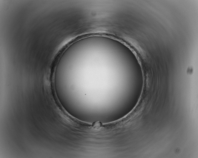 X0000103221452200808281356