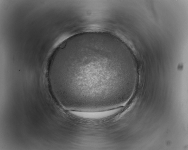 X0000103221453200808281356