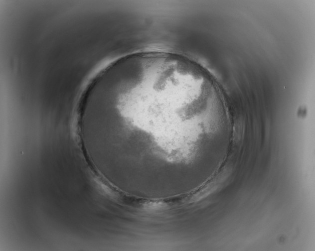 X0000103221454200808281356
