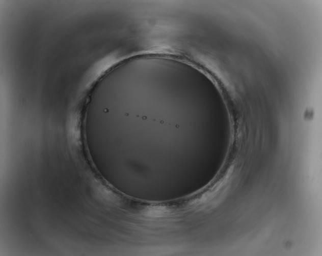 X0000103221455200808281356