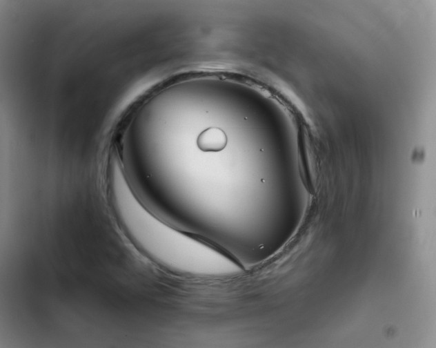 X0000103221456200808281356