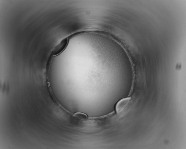 X0000103221457200808281356