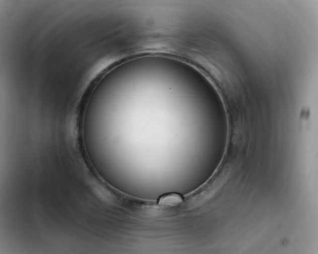 X0000103221458200808281356