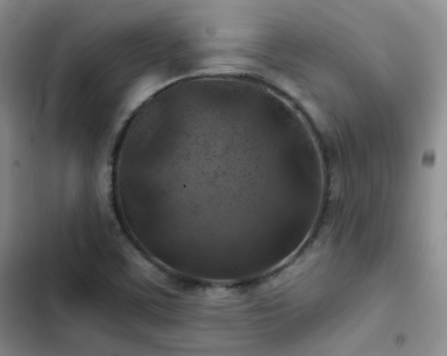 X0000103221459200808281356