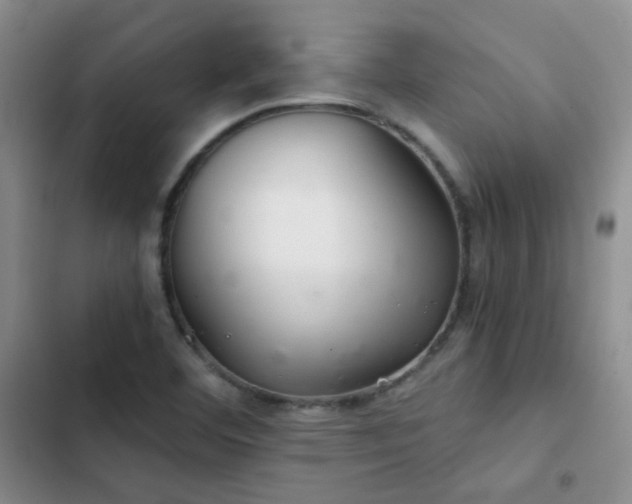 X0000103221460200808281356