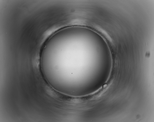 X0000103221461200808281356