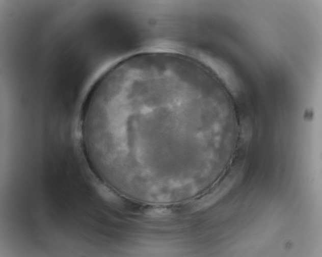X0000103221462200808281356