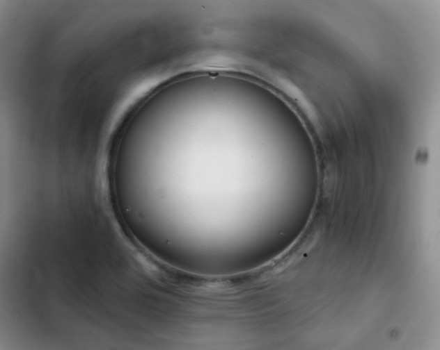 X0000103221464200808281356