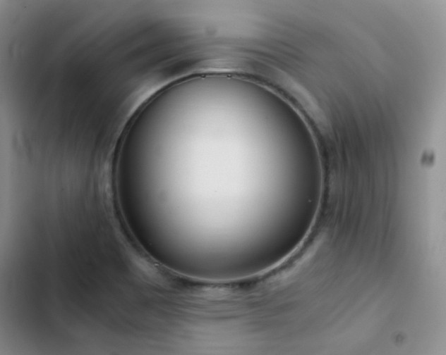 X0000103221465200808281356