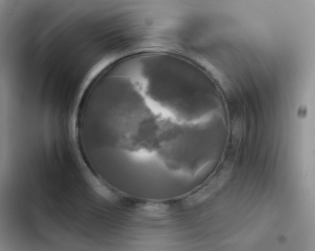 X0000103221466200808281356