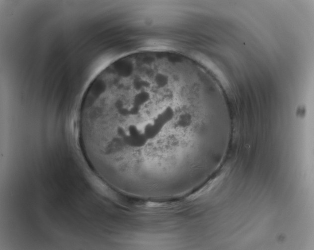 X0000103221467200808281356