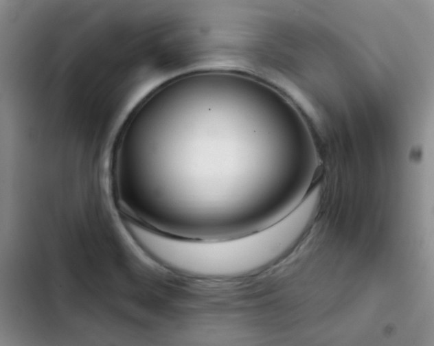 X0000103221468200808281356