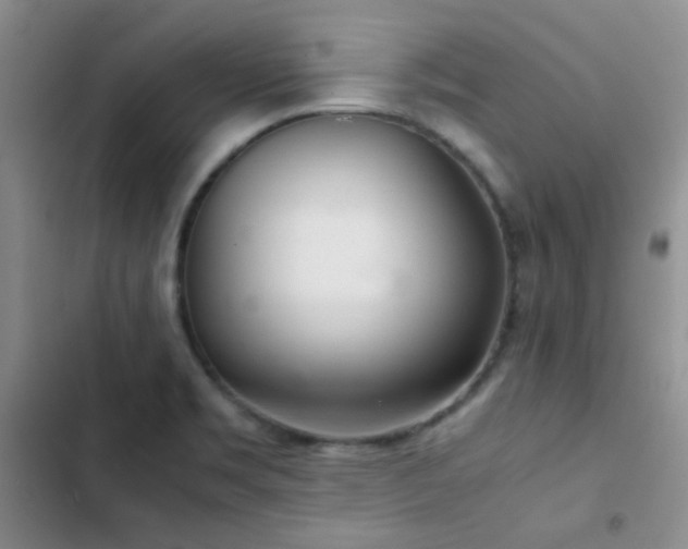 X0000103221469200808281356