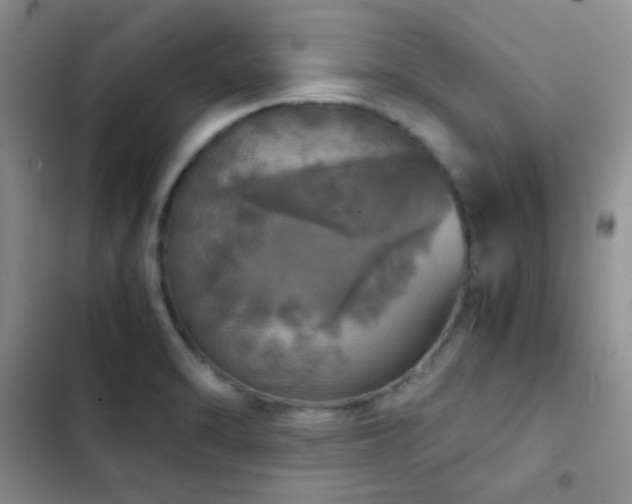 X0000103221470200808281356